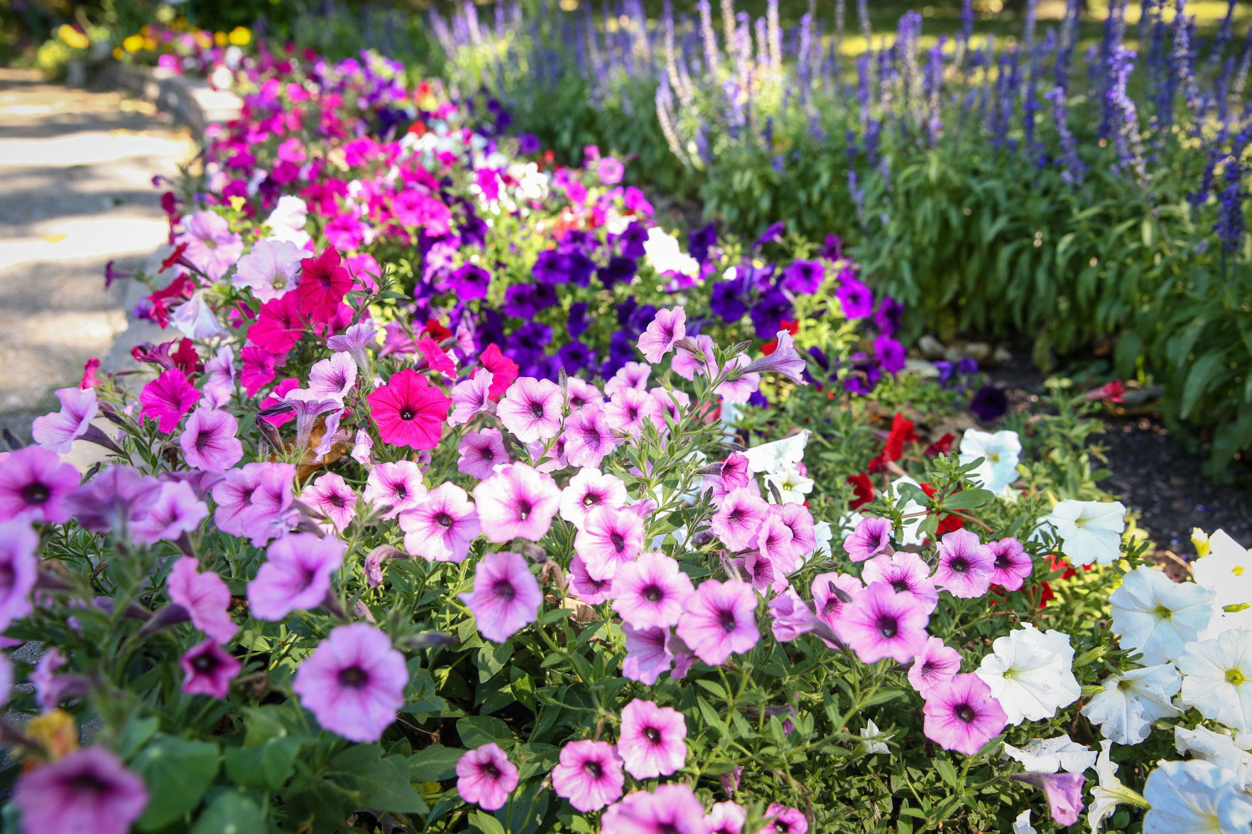 East Park Gardens (6).jpg